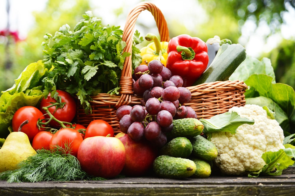 Fresh organic vegetables in wicker basket in the garden